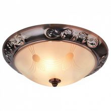 Arte Lamp Накладной светильник Arte Lamp Alta A3014PL-2AC ID - 414634