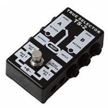 TS-2 TRUE SELECTOR Пассивный двухканальный коммутатор (селектор), AMT Electronics