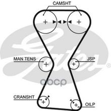 Ремень Грм Hyundai Lantra 1.8 90-95, Santamo 2.0 99-, Sonata 2.0 16v 93-98  Mitsubishi Lancer 2.0 99-, Outlander 2.0 03- Gates арт. 5255XS