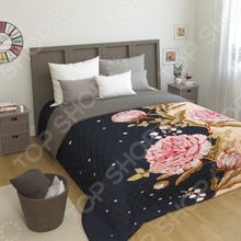 Сирень «Роберта»