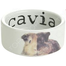 Beeztees 801710 Cavia