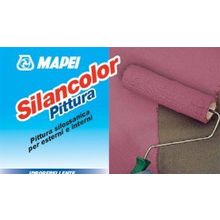 Silancolor Paint