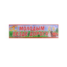 Наклейка на номер свадебной машины "Молодым везде дорога" (SL-510175) K010638