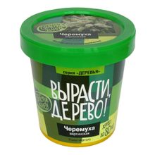 Набор для выращивания ВЫРАСТИ ДЕРЕВО! Черёмуха виргинская