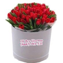 Цветы в коробке 45 Тюльпанов