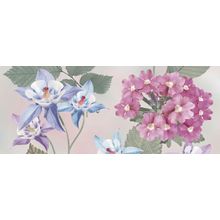 Ibero Fusion Melisa A Dec 20x50 см