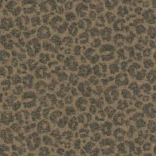 BN 220145 Обои BN (Panthera) (1*12) 10,05x0,53 винил на флизелине