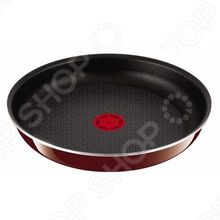 Tefal Ingenio 5