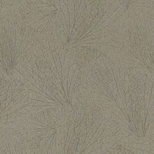 Marburg Origin 31385 31385