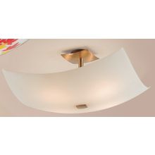 Светильник Потолочный Citilux CL937311