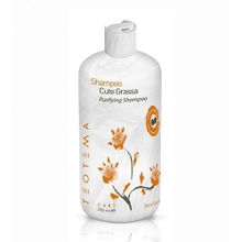 Шампунь для жирных волос Teotema Sebum Specific Purifying Shampoo 500мл
