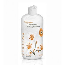 Шампунь для жирных волос Teotema Sebum Specific Purifying Shampoo 500мл