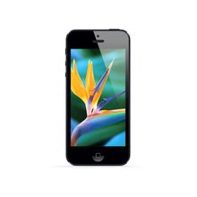 Сотовый телефон Apple iPhone 5 64Gb Black