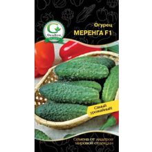 Огурец Меренга F1 (Seminis) 10шт СемКом