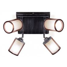 Citilux Спот Citilux Робин CL535541 ID - 382588