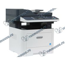 МФУ Xerox "WorkCentre 3335V DNI" A4, лазерный, принтер + сканер + копир + факс, ЖК, бело-синий (USB2.0, LAN, WiFi) [135949]