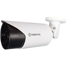 Видеокамера TANTOS TSi-Pe2VP (2.8-12)