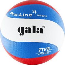Мяч волейбольный GALA Pro-Line 10 FIVB р5 бело-голубо-красный