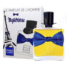Paris Elysees Le Parfum De LHomme Mysterieux, 100 мл