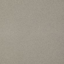 Paradyz Solid Solid Silver Gres Rekt. Poler керамогранит универсальный 598 мм*598 10 мм