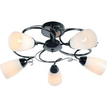 Потолочный светильник Arte Lamp A6545PL-5BC ALESSIA