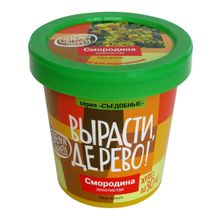 Набор для выращивания ВЫРАСТИ ДЕРЕВО! Смородина золотистая