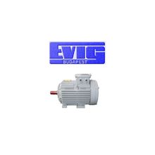 Электродвигатели фирмы «EVIG» Венгрия
