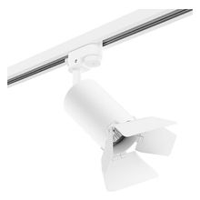 Lightstar Светильник на штанге Lightstar Rullo R1T436436 ID - 390965