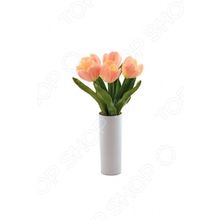 CТАРТ Тюльпаны 5