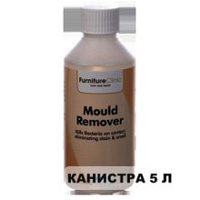 Средство для удаления плесени Mould Remover, 5 л, 01.01.007.5000, LeTech