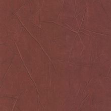 Обои Lutece 51162310