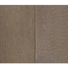 Хемлок Толедо