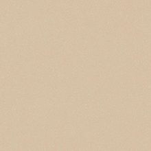 Tarkett Acczent Pro Aspect 5 2 м*20 м 2 мм