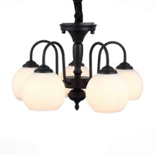 Люстра подвесная ST LUCE CUPO SL685.403.05