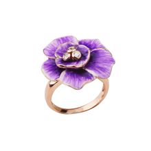 Кольцо Bonanza, IFR0001