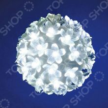 CТАРТ Сакура