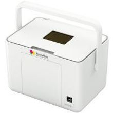 EPSON PictureMate PM260 фотопринтер струйный цветной