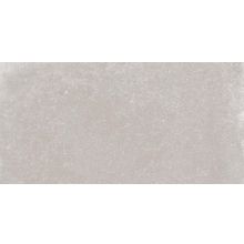 Abk Gent Ash Rett 60x120 см