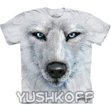 Mountain White Wolf Face