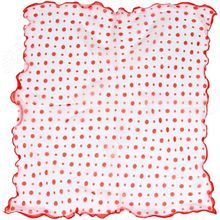 Bona Ventura PL.S-V2.46