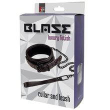 Фиолетово-чёрный ошейник с поводком BLAZE COLLAR AND LEASH PURPLE фиолетовый с черным