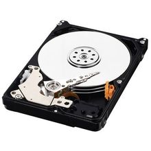 Жесткий диск 1TB WD Blue AV-25 (WD10JUCT) {SATAII 300, 5400 rpm, 16Mb buffer}