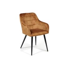 Tetchair Кресло BEATA (mod. 8266), коричневый (G-062-61) черный