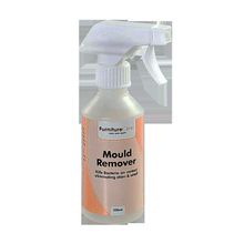 Средство для удаления плесени Mould Remover, 250 мл, 01.01.007.0250, LeTech