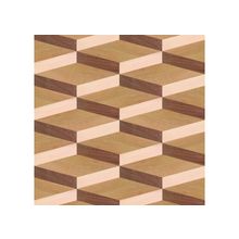 Художественный паркет Модули M 076