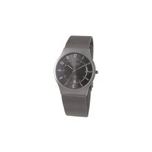 Мужские часы Skagen 233XLTTM