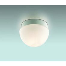 Odeon Light 2443 1B Minkar влагозащищенный светильник