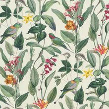 Rasch Cuisine 918786 918786