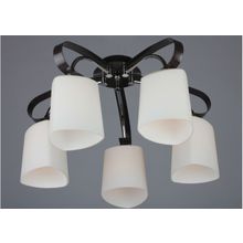 Люстра OML-28007-05