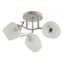 Rivoli Потолочная люстра Rivoli Pelle Б0044458 ID - 464769